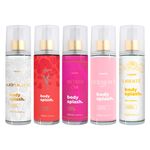 kit-promo-5bs-lion-2805